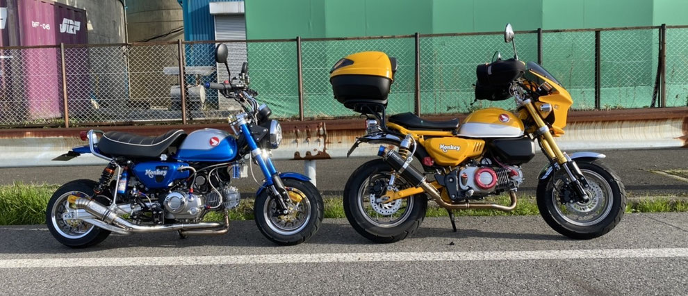 CAT'S FACTORY キャッツファクトリー ビキニカウル カラー：シーン