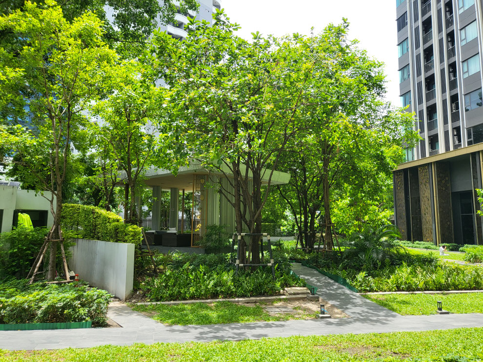 Sukhumvit, Bangkok, Property, Rental, Condominium