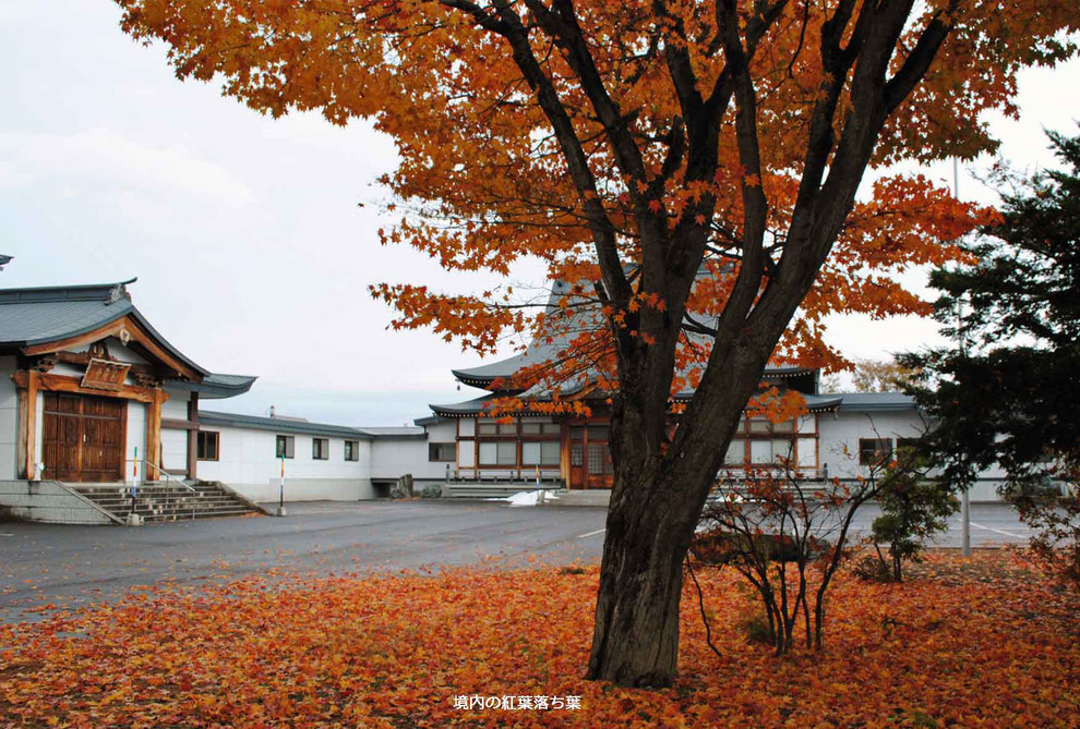 紅葉・東川寺境内