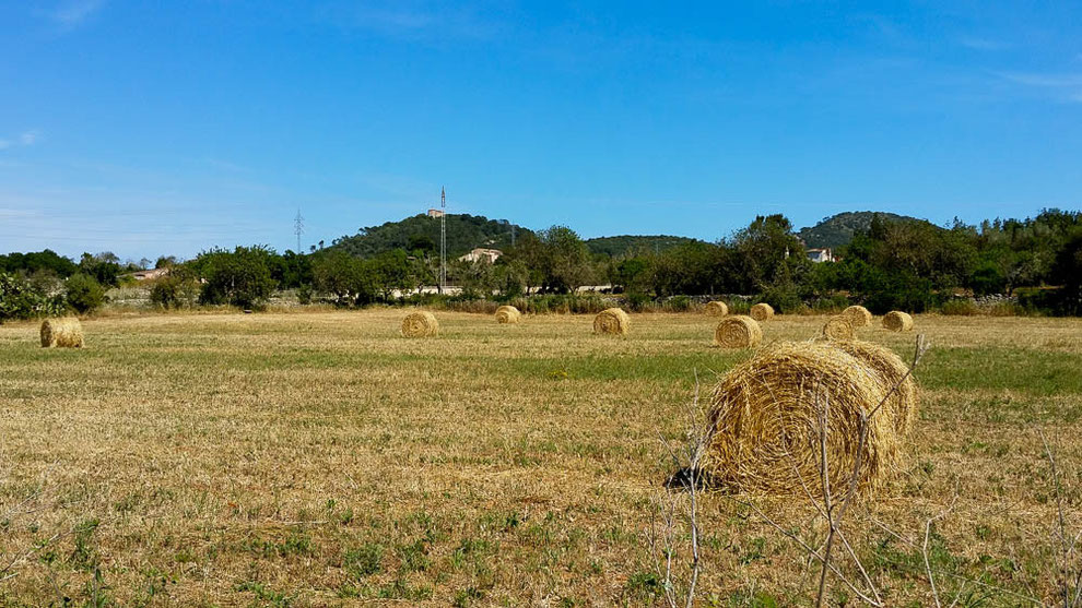 In der Zentralebene wird noch intensiv Landwirtschaft betrieben.