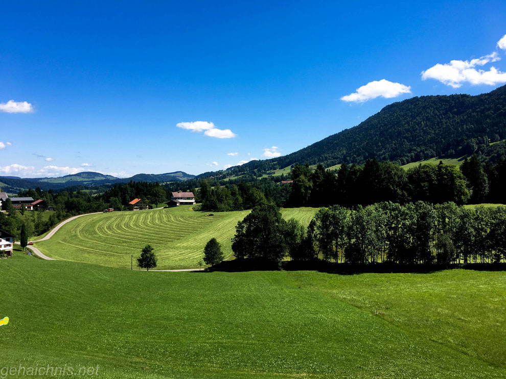 ...diesen Ausblick bietet die Bushaltestelle