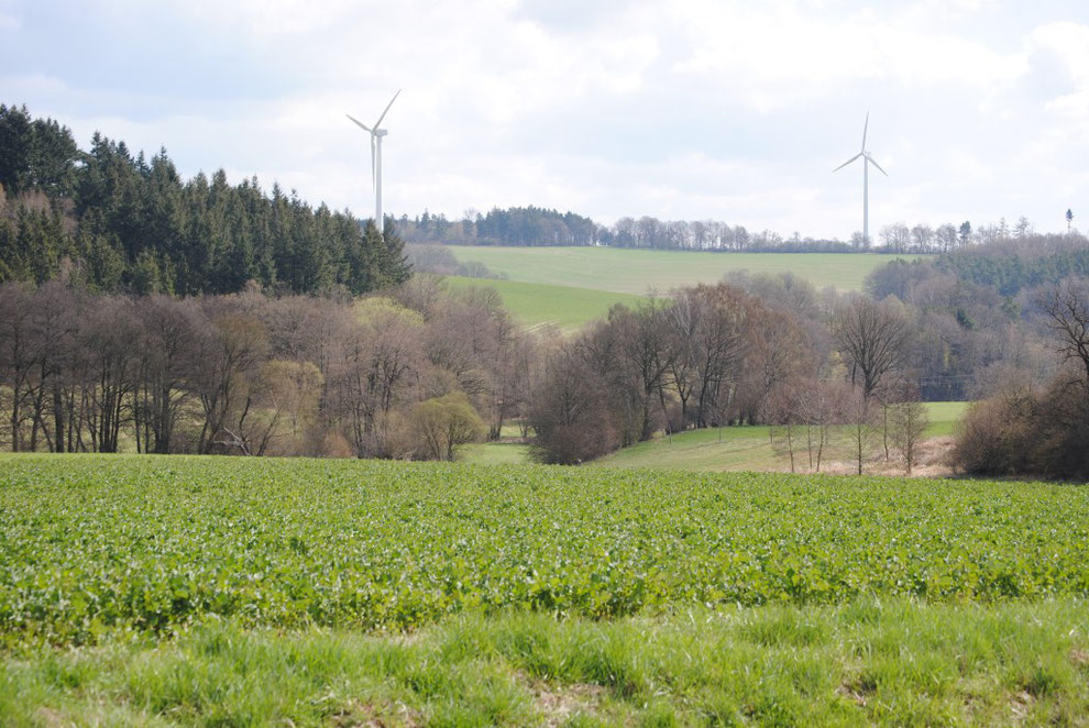 Kyrbachtal/Hunsrück