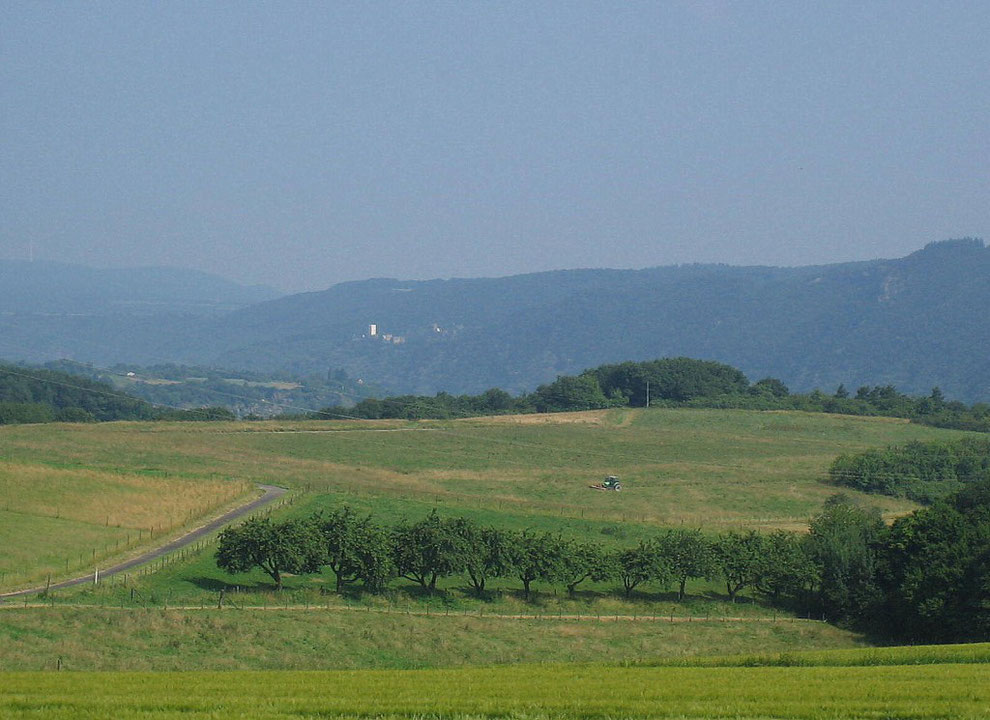 Blick von den Hunsrückhöhen auf Burg Sterrenberg und Burg Liebenstein am Rhein (Suchbild :-))
