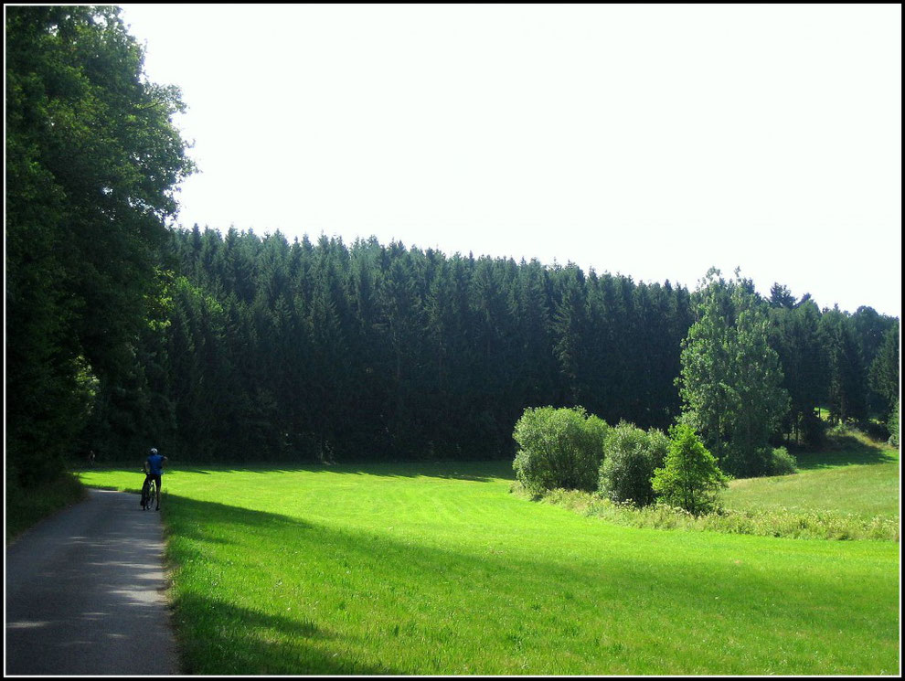 Auf dem Schinderhannes-Soonwald-Radweg
