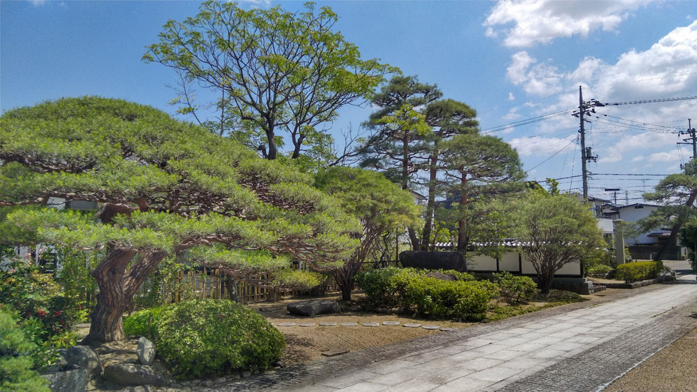 福島市　大森　庭木の剪定　完了　お寺