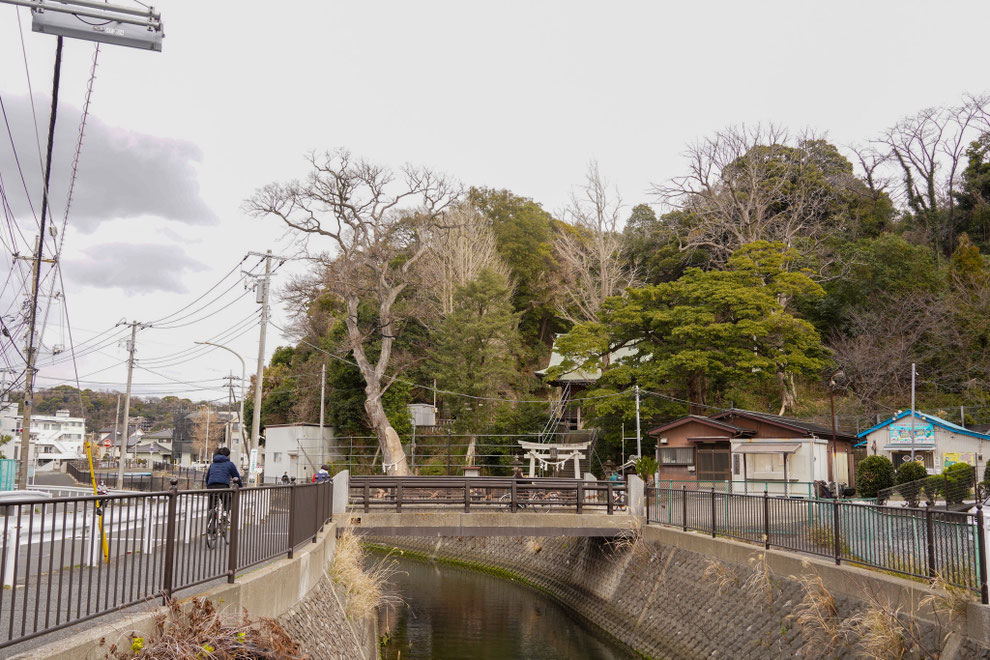 宮川を見守る手子神社。かつて周囲には蓮田が広がっていたそう。