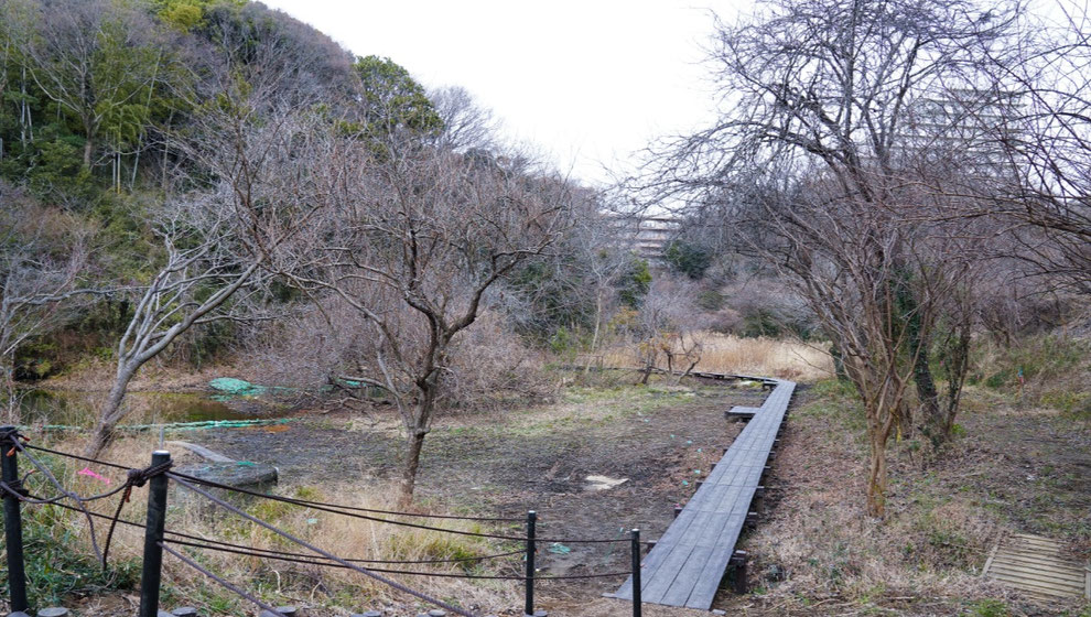 湿地に造成された樹脂製の木道。右側にあるのがもともとのあぜ道