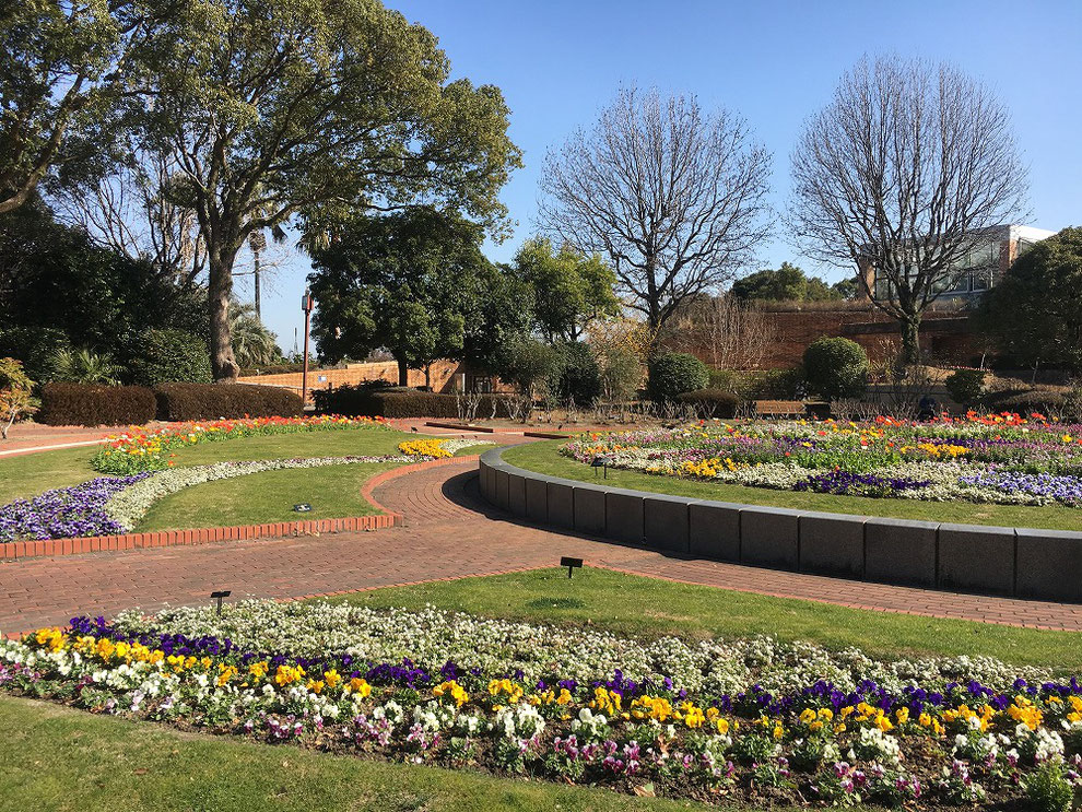 福岡市植物園　花壇