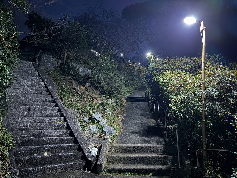 鎮懐石八幡宮の正月電灯