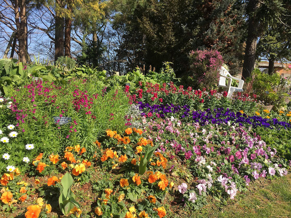 福岡市植物園　花壇その2