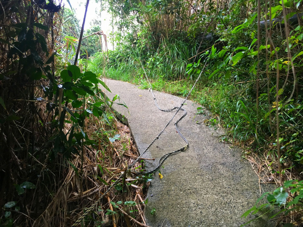 池島の四方山への道のロープ