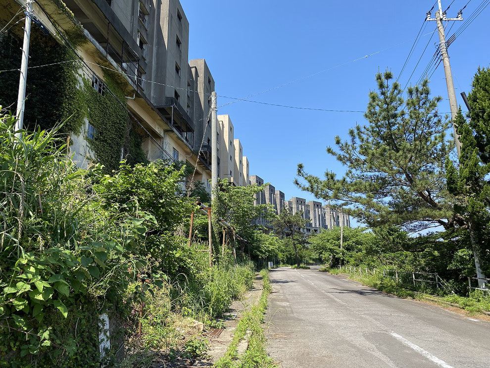 春の池島の八階建てアパート