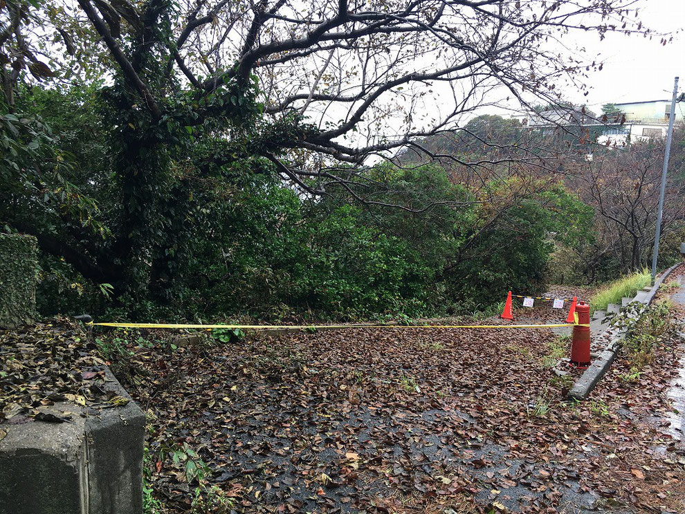 建物倒壊で通行止めの池島の道その二