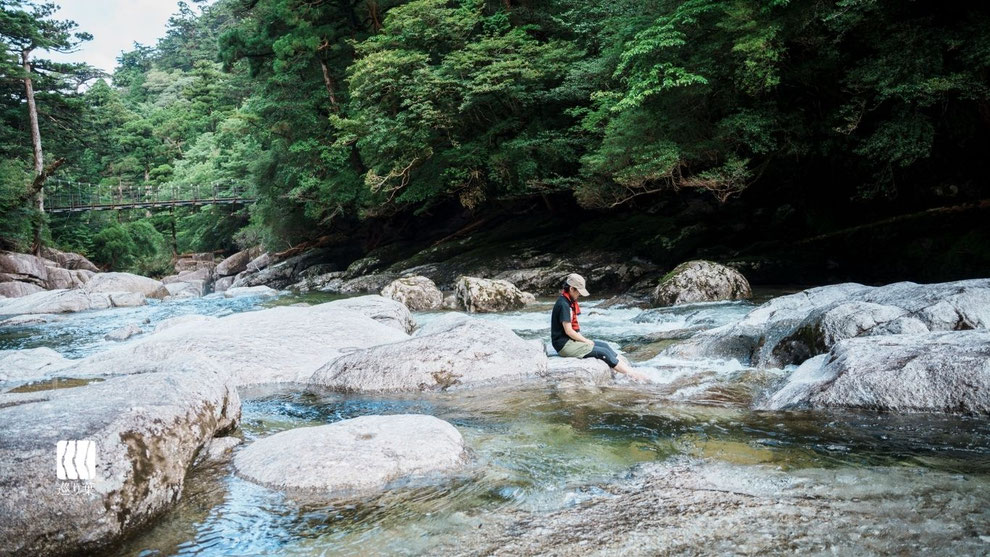 鹿児島県「森林浴の森70選」に選定されている屋久杉の森歩きができるヤクスギランドガイドツアー。