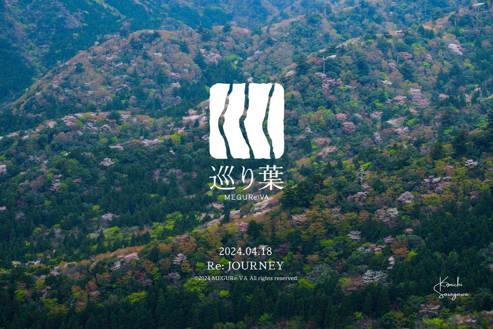 ツアー 屋久島