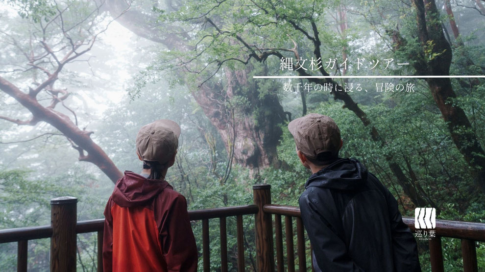 屋久島縄文杉トレッキングガイドツアーにて樹齢7200年の縄文杉と出会う