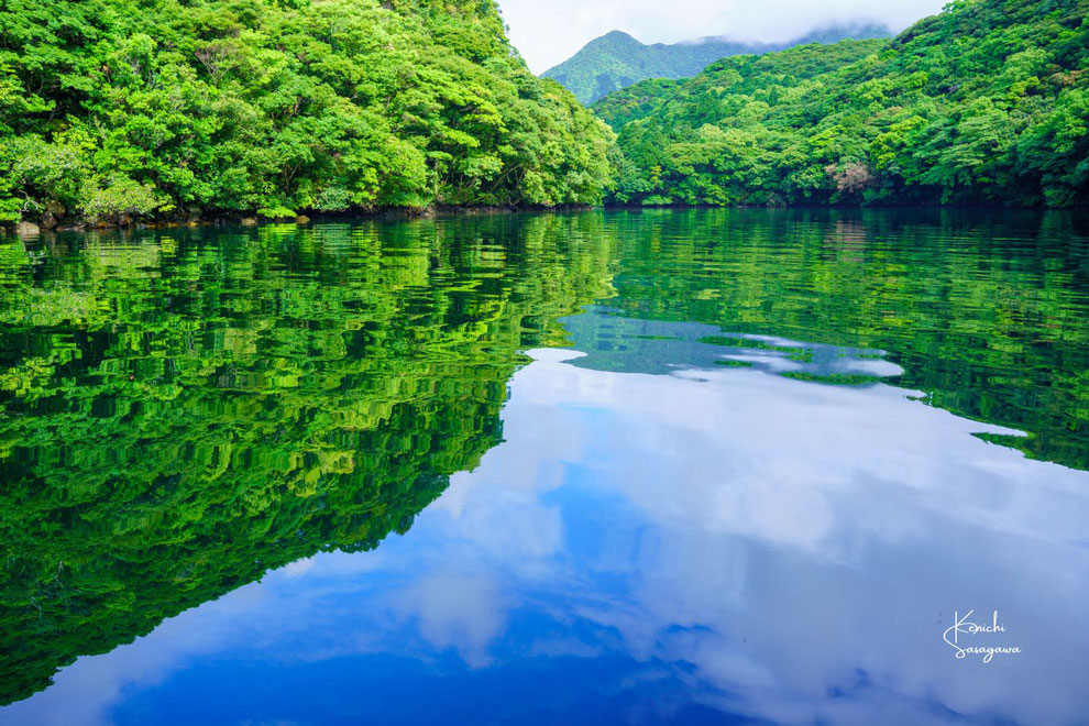 穏やかな水面を、水上散歩する。