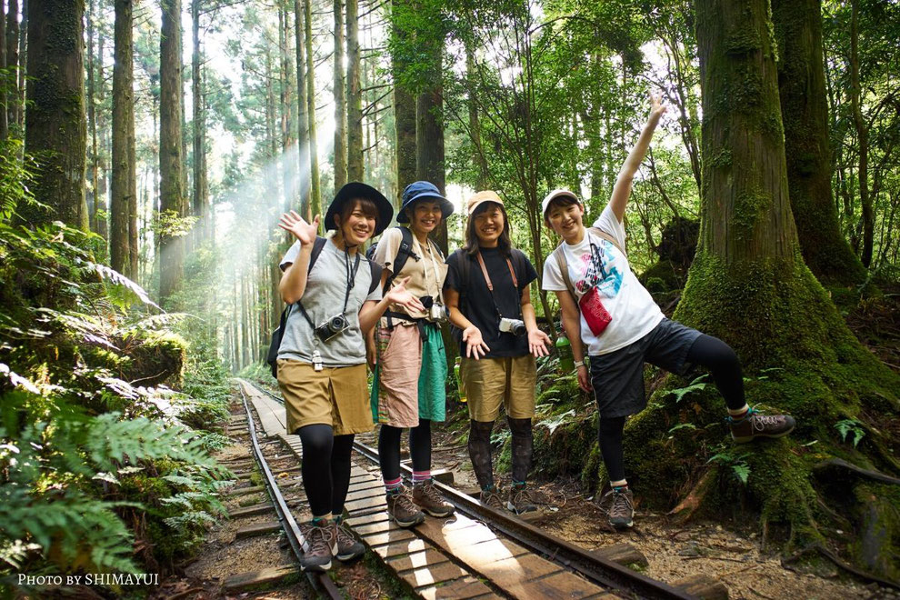 屋久島のガイドと歩く縄文杉トレッキングツアーは、ガイドなしでは気付けない新たな発見の連続です。足元だけを見て、縄文杉までトレッキングするのはもったいない。