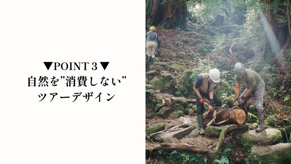 「共生」「循環」など屋久島の理念を大切にしたガイドツアーを心掛けています。
