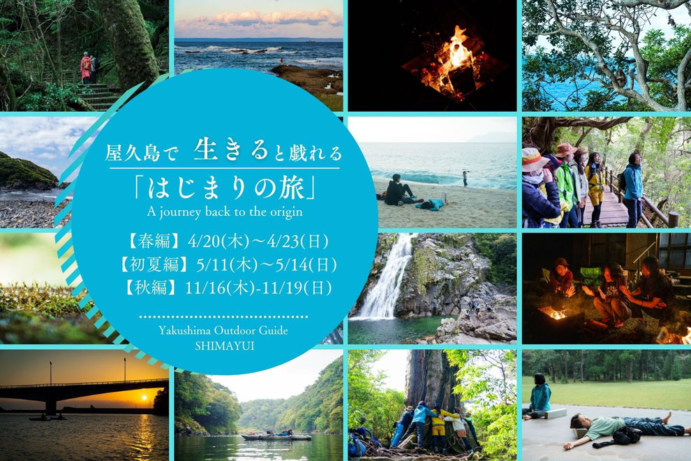 屋久島で生きると戯れる、はじまりの旅,2023年,4月,5月,11月,春,夏,秋おすすめの季節,屋久島ベストシーズン,国内旅行,屋久島ツアー,屋久島ガイド,屋久島旅行,森林浴,カヤック,屋久杉,屋久島移住,島結,屋久島公認ガイド