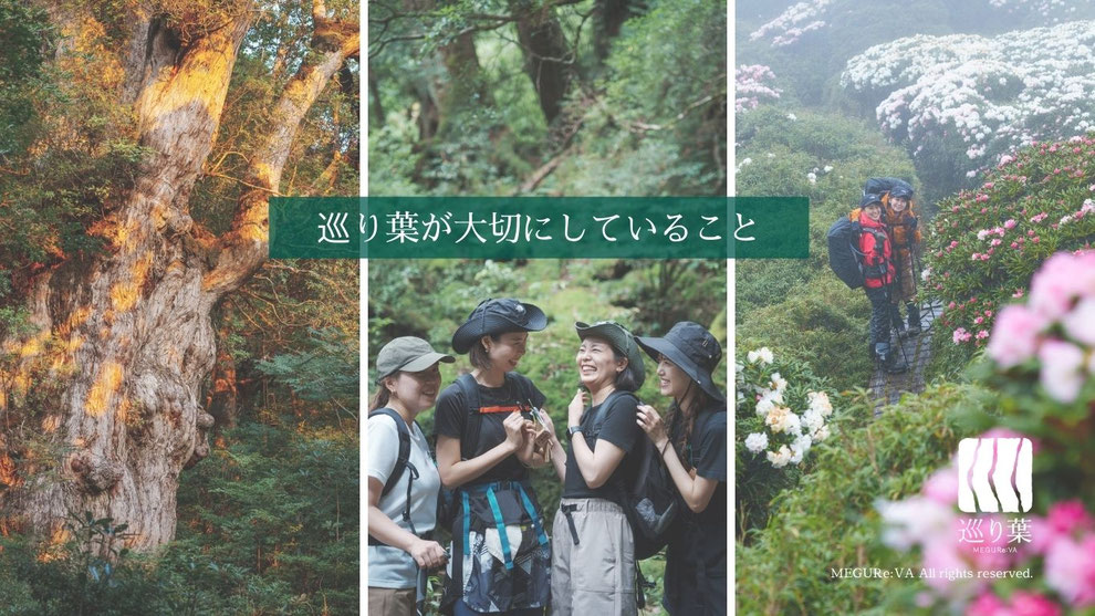 安心・安全の少人数制の屋久島ガイドツアーで、自然と深くつながる旅を。