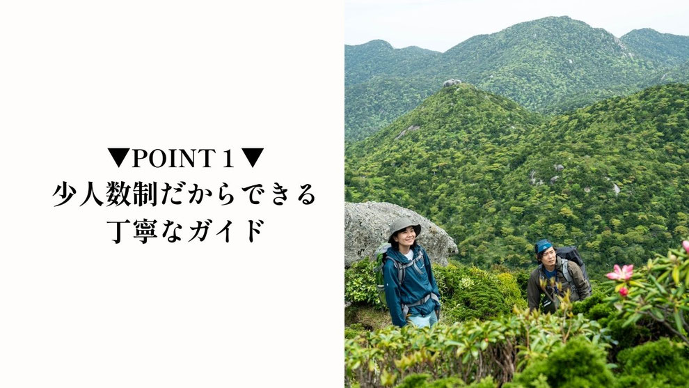 屋久島ガイドがお客様の歩くペース配分など見ながら無理なくトレッキングできます。
