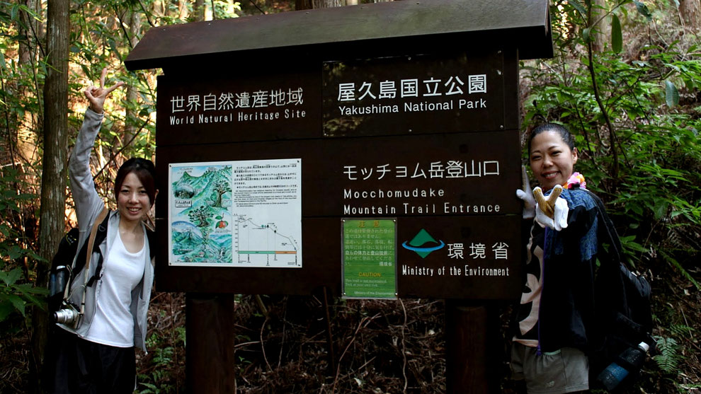 登山口から、世界自然遺産エリアがはじまります。（モッチョム岳ガイドツアー）