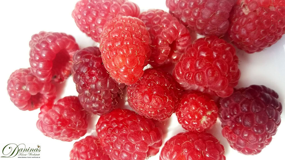 Himbeeren in verschiedenen Reifegraden am Strauch