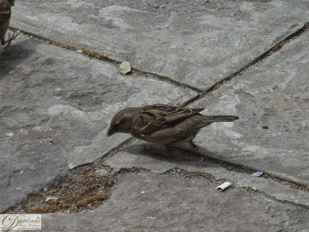 Die zunehmende Urbanisierung geht einher mit einer Entfremdung von der Natur.