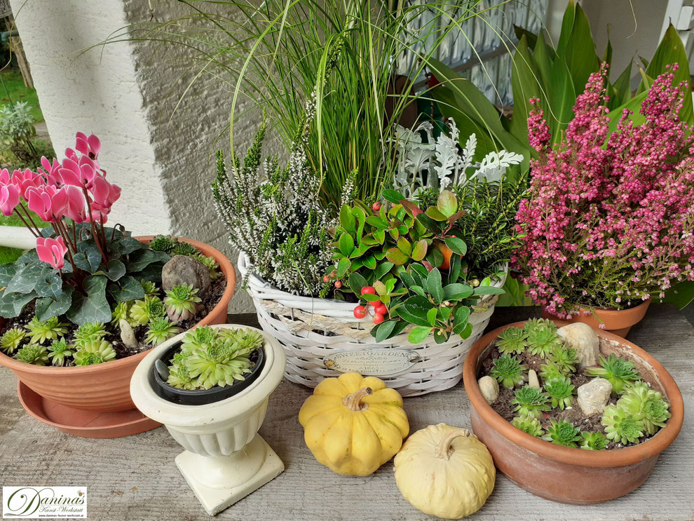 Herbstdeko für draussen ganz einfach selber machen mit Herbstblumen, Kürbissen, Quitten und bunten Herbstblättern - Idee by Daninas-Kunst-Werkstatt.at