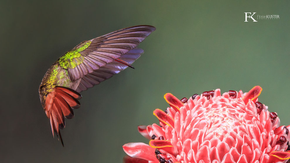 September 30, 2014 - Photograph by Florian Kuster, National Geographic Your Shot