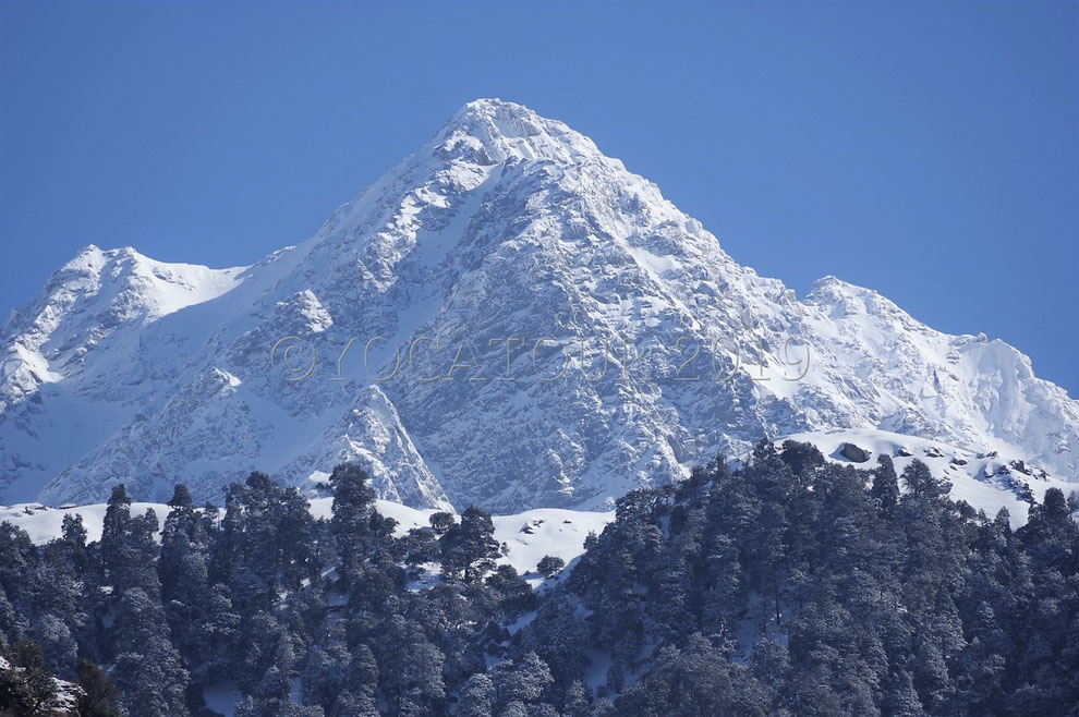 Vue depuis Dharamsala des montagnes enneigées de la chaîne de l'Himalaya