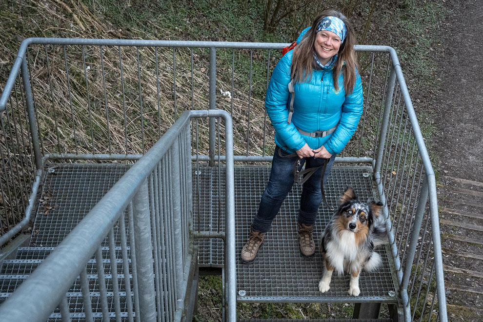 mein wanderhund Robin ist der neue Wanderhund-Lehrling. 