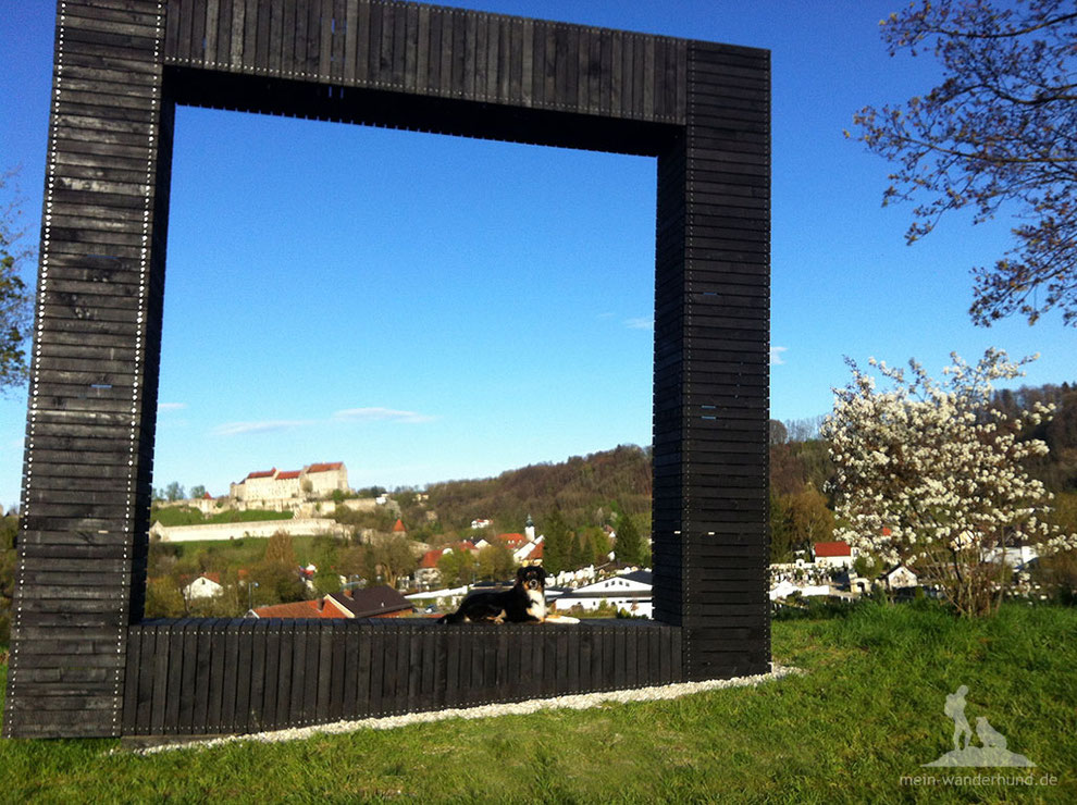 Burghausen, Wandern mit Hund, weltlängste Burg