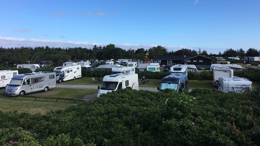 Viele Reisemobile und Wohnmobile auf einem Campingplatz bei strahlend blauem Himmel