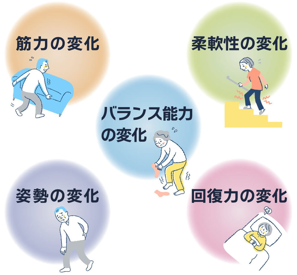 筋力の変化、柔軟性の変化、バランス能力の変化、姿勢の変化、回復力の変化