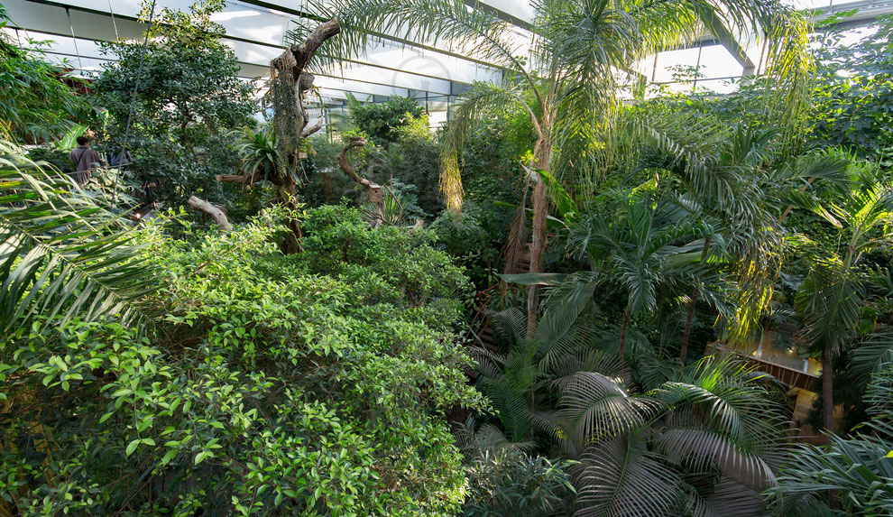 Biosphäre Potsdam