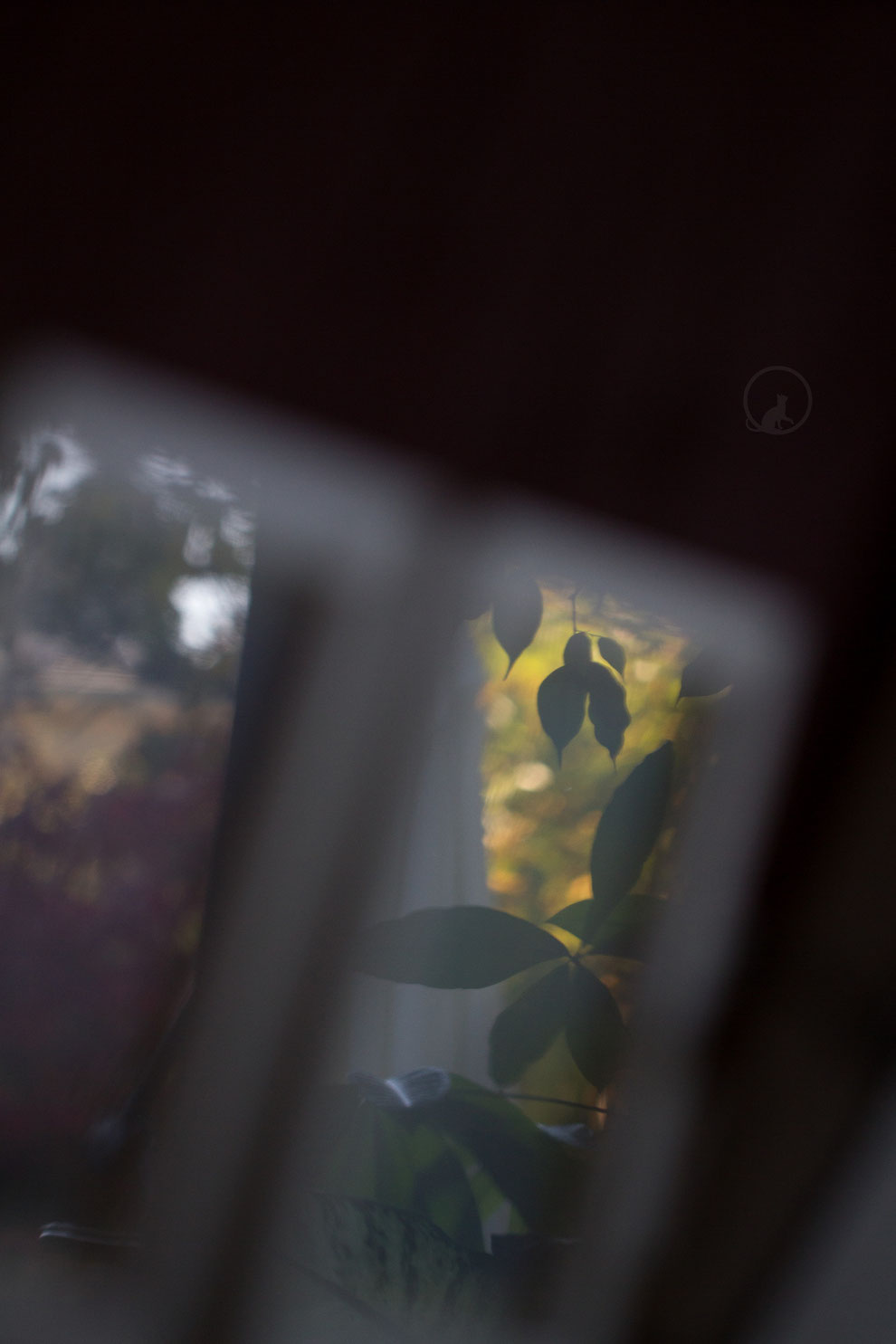 Bilderrahmen Licht