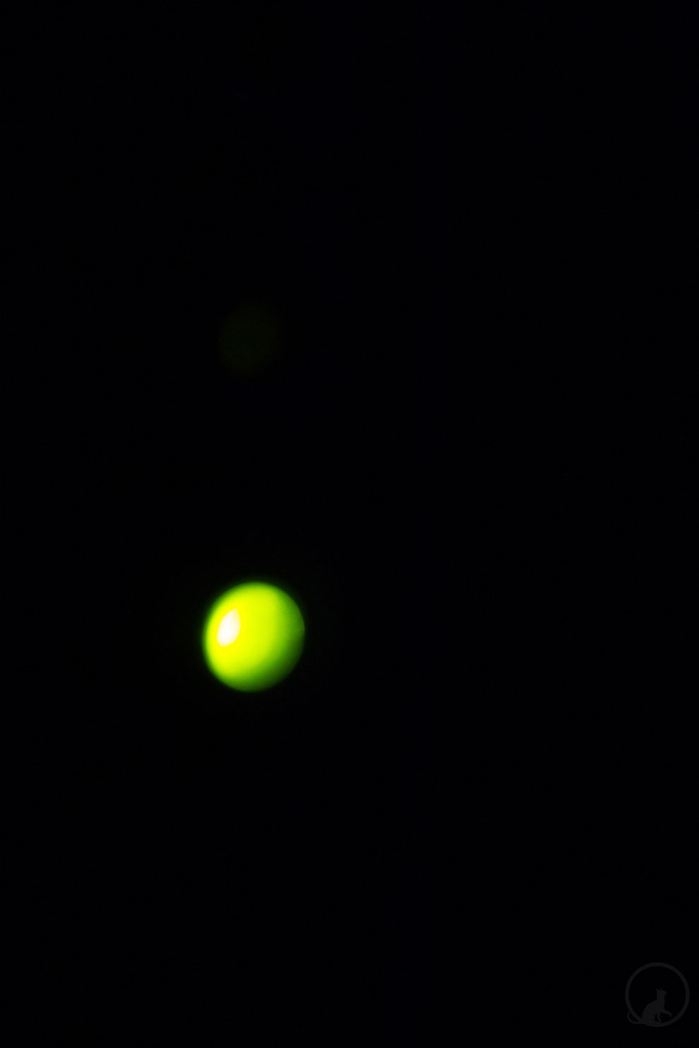 Zahnbürsten Licht