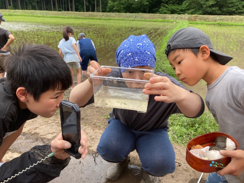 えびだ！