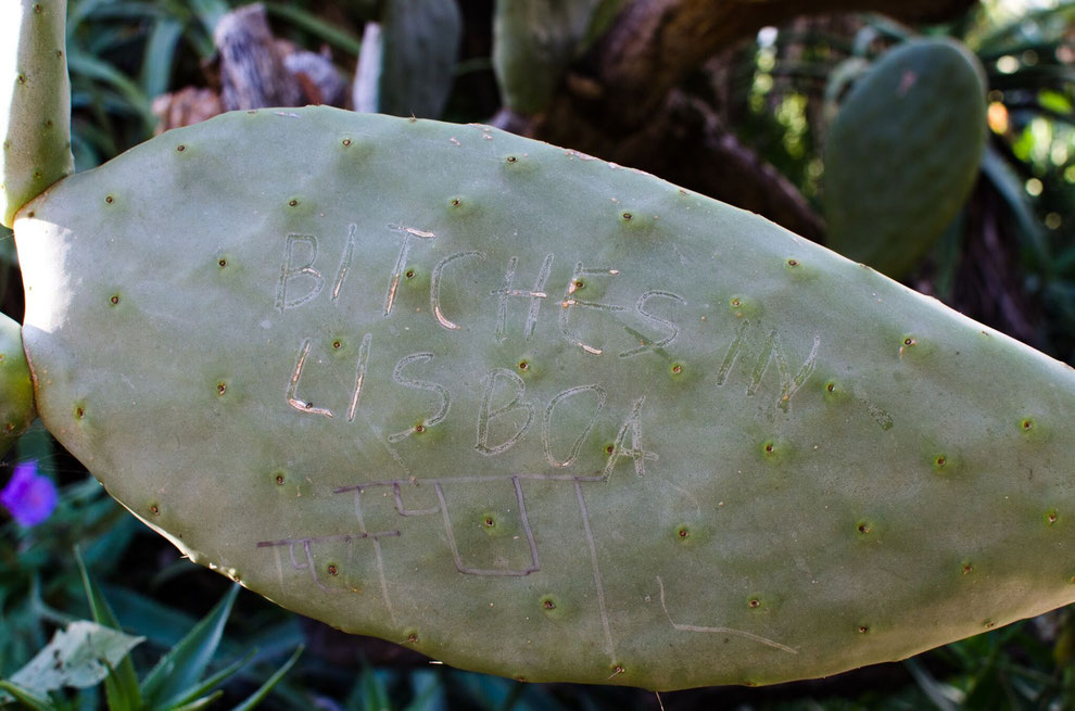 War schon so, echt! Im botanischen Garten