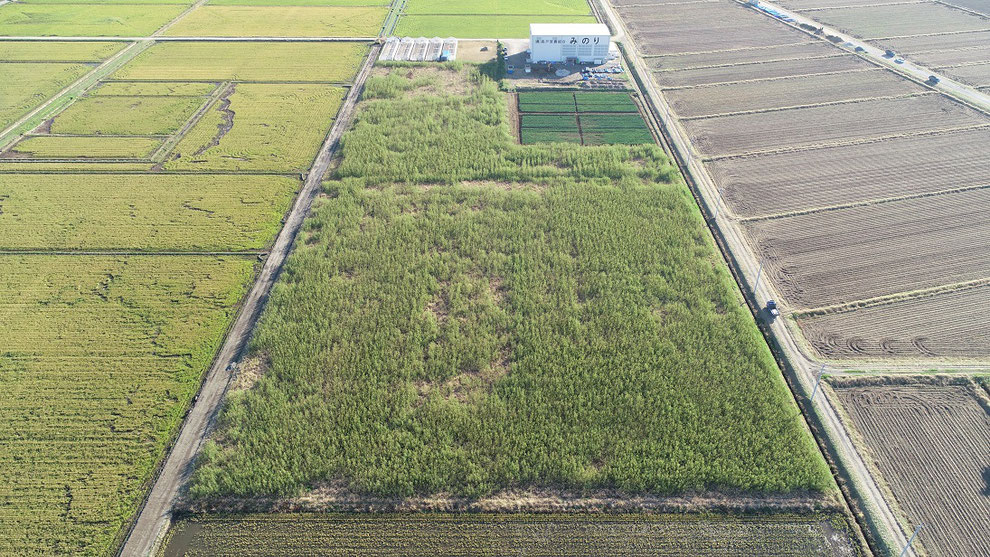 森戸　暗渠排水工事（その１） （竣工　写真サイズ大）