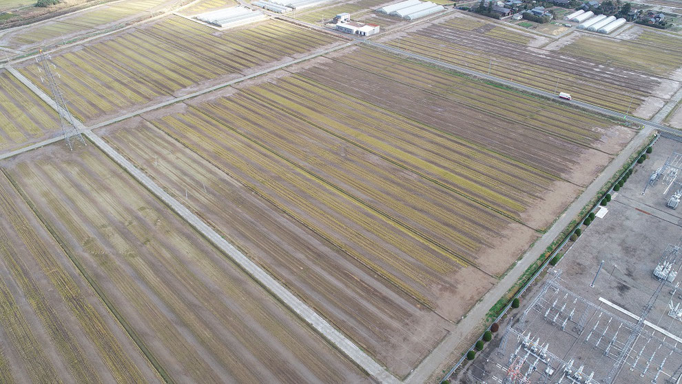 本町地区　暗渠排水第２次工事 （竣工　写真サイズ大）