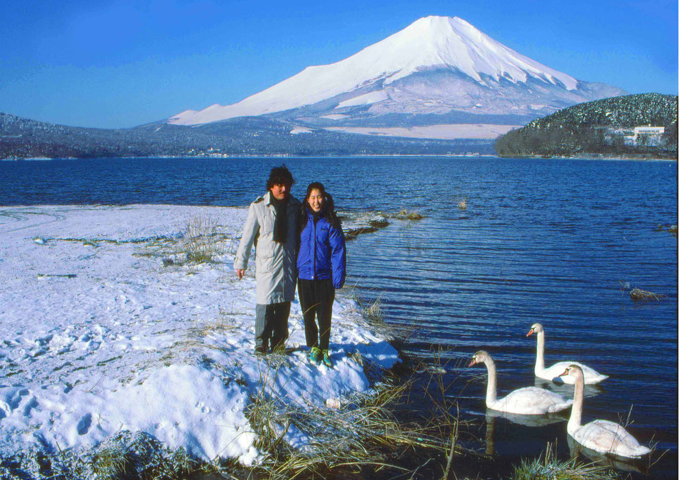 12  .   富士山 山中湖 大白鳥