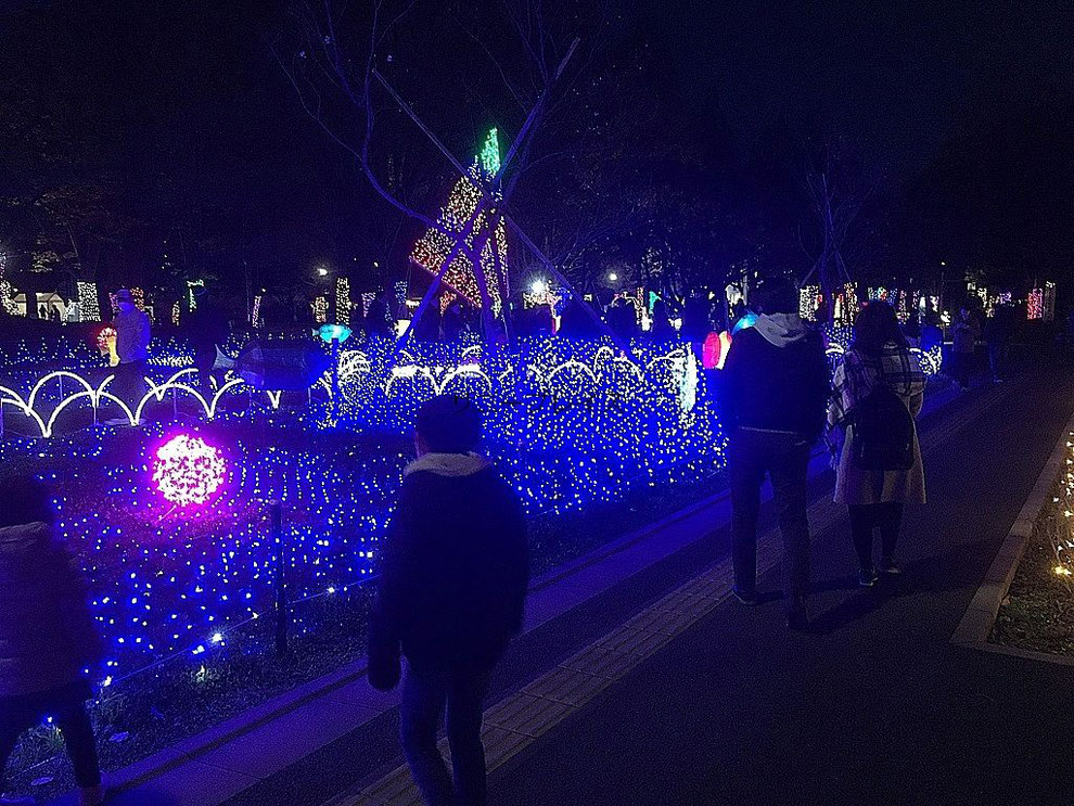 イルミネーションを進んでいくと生物園があります