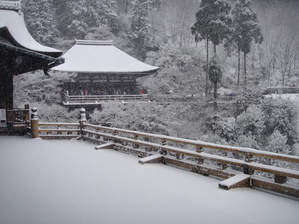 京都観光タクシー 英語ガイド　永田信明　清水寺の雪景色