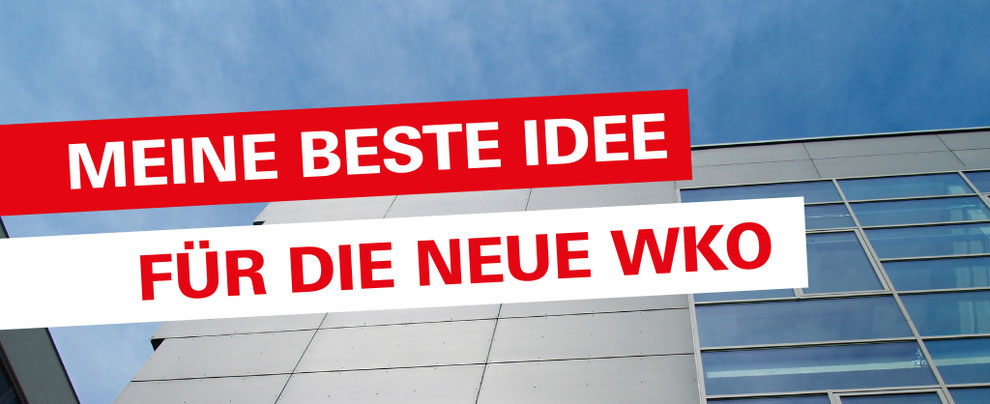 Meine beste Idee für die neue WKO