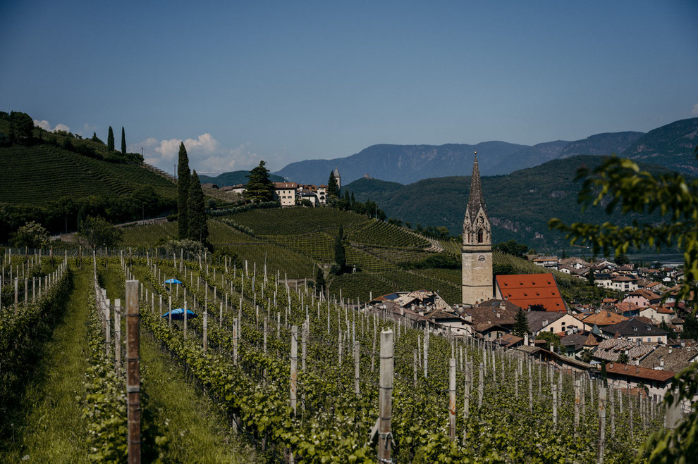 GEWÜRZTRAMINERWEG - Wandertipp: Weinwandern in Tramin an der Weinstrasse - Südtirol ©Marika Unterladstätter _fullwidth-story-splash