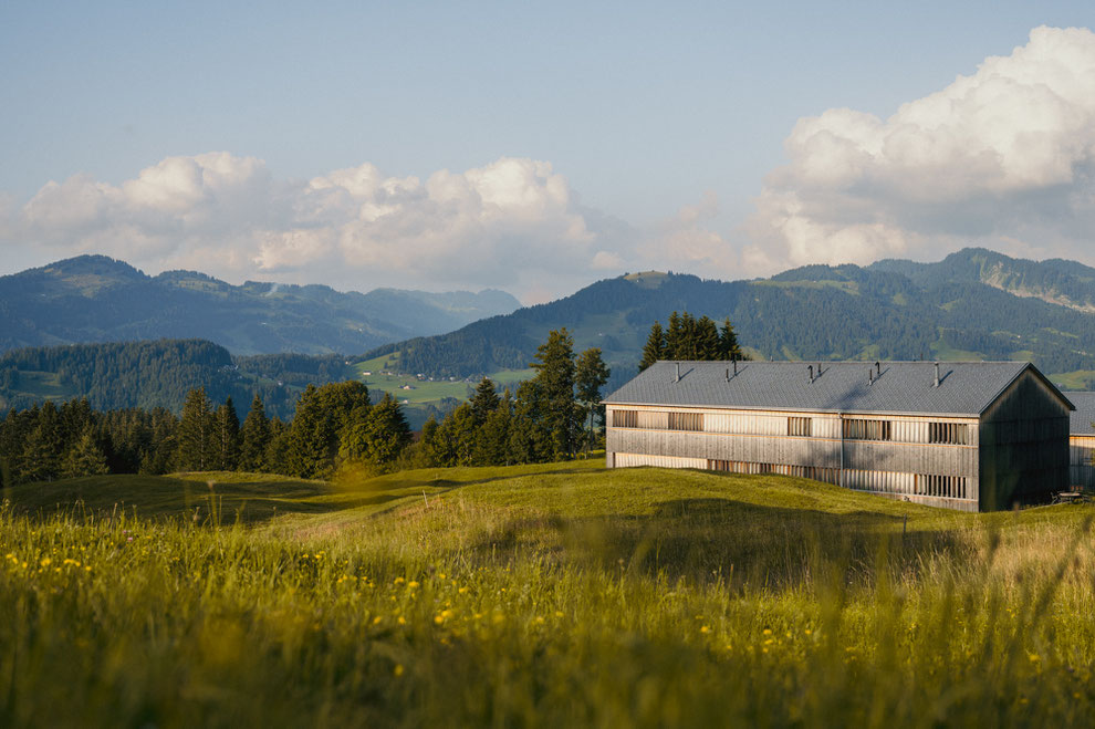 FUCHSEGG ECO LODGE A boutique retreat in Austria’s Bregenzerwald – where nature, community and stillness meet • Member of Mountain Hideaways • ©MarikaUnterladstätter _fullwidth-story-splash