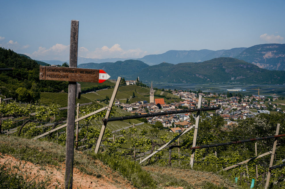 GEWÜRZTRAMINERWEG - Wandertipp: Weinwandern in Tramin an der Weinstrasse - Südtirol ©Marika Unterladstätter